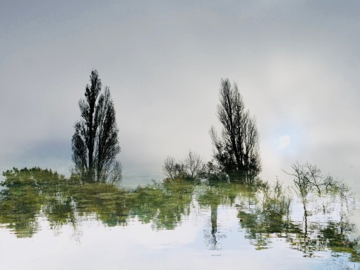 Auprès de mon arbre-7