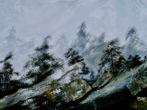 Auprès de mon arbre-9