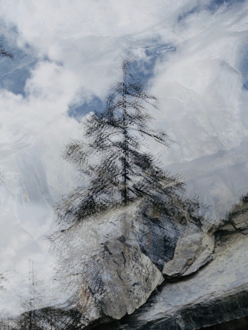 Auprès de mon arbre-10