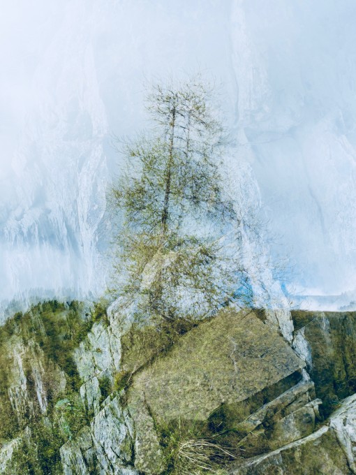 Auprès de mon arbre-11