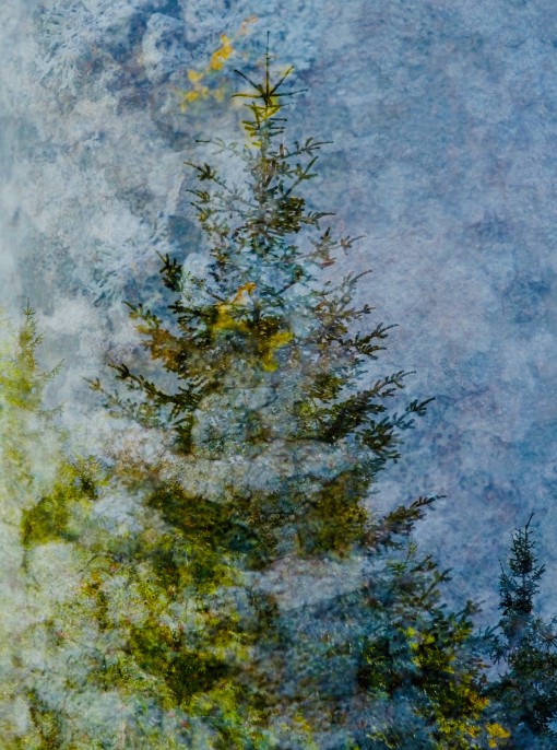 Auprès de mon arbre-13