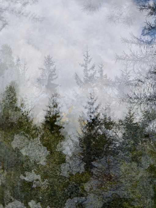 Auprès de mon arbre-14