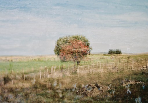 Auprès de mon arbre-16