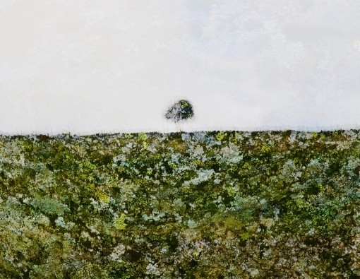 Auprès de mon arbre-17