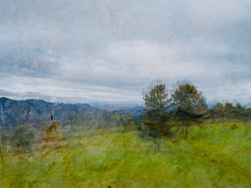 Auprès de mon arbre-22