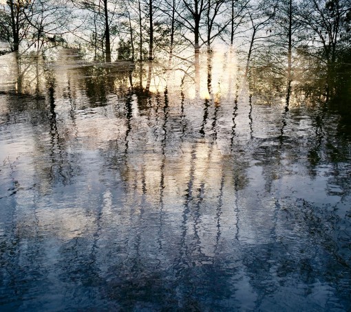 Auprès de mon arbre-27