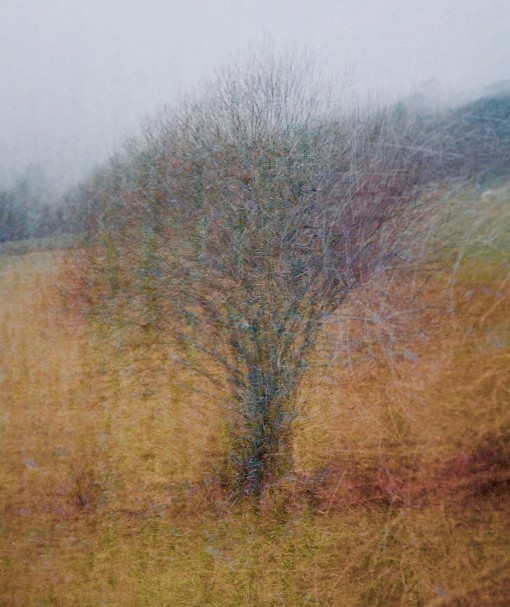 Auprès de mon arbre-28