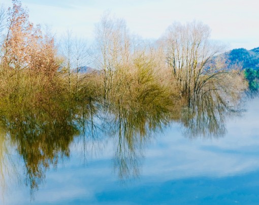 Auprès de mon arbre-30