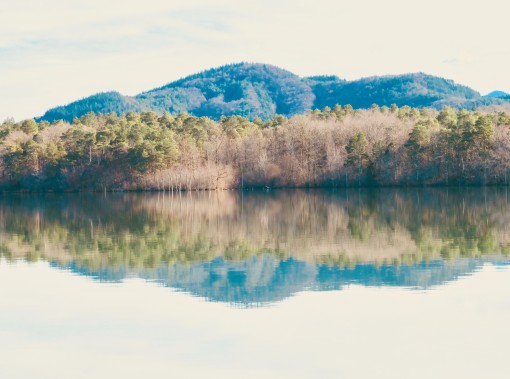 Auprès de mon arbre-31