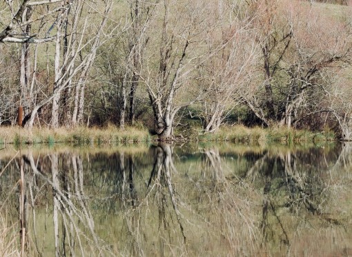 Auprès de mon arbre-32