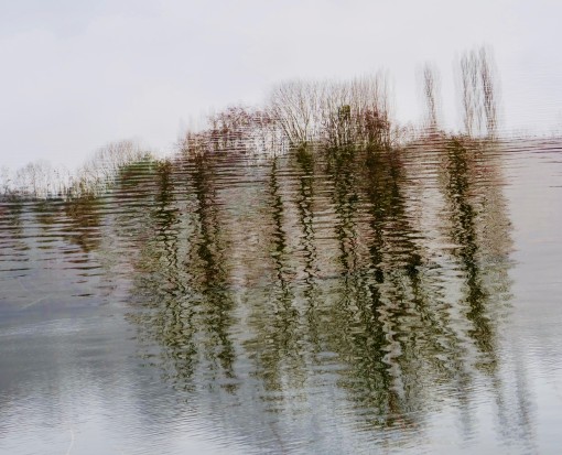 Auprès de mon arbre-35