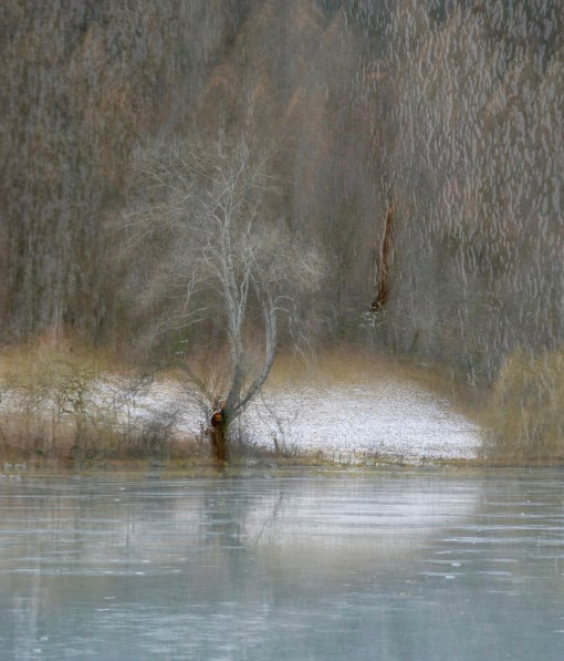 Auprès de mon arbre-37