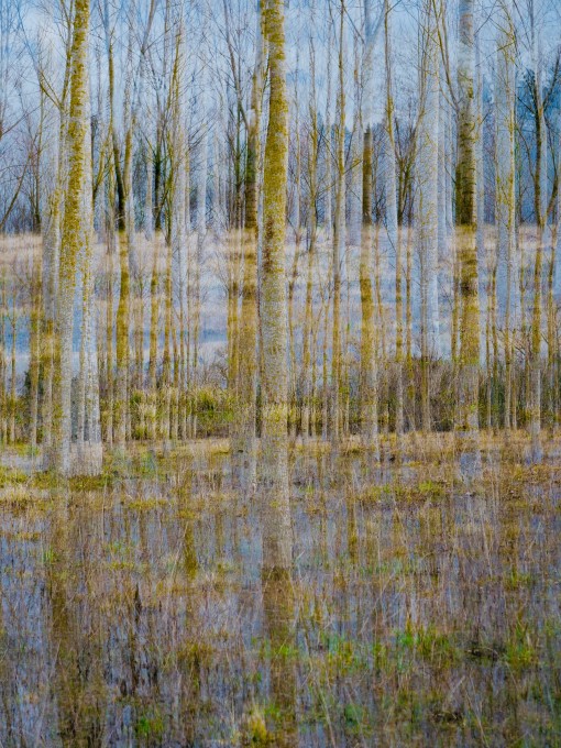 Auprès de mon arbre-47