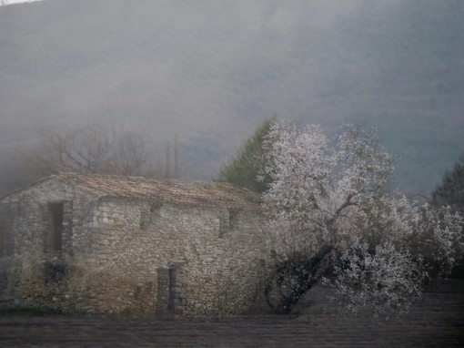 Auprès de mon arbre-50